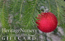 Load image into Gallery viewer, GIFT VOUCHER