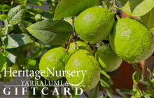 Load image into Gallery viewer, GIFT VOUCHER