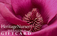 Load image into Gallery viewer, GIFT VOUCHER