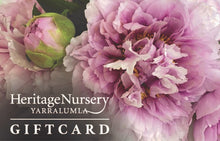 Load image into Gallery viewer, GIFT VOUCHER