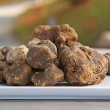 Load image into Gallery viewer, Truffle Tree