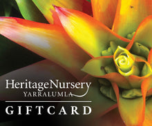 Load image into Gallery viewer, GIFT VOUCHER $150