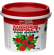 Load image into Gallery viewer, SUDDEN IMPACT ROSE 10KG