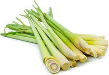 Load image into Gallery viewer, LEMON GRASS 100MM POT