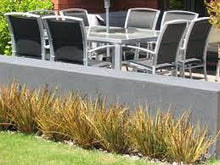 Load image into Gallery viewer, LIBERTIA TAUPO BLAZE 18CM POT