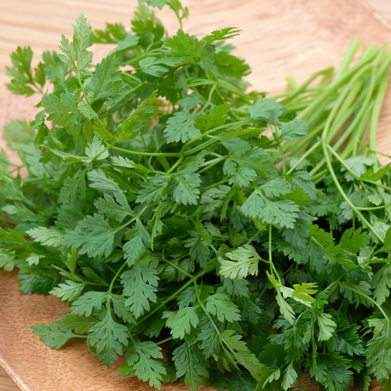 Chervil