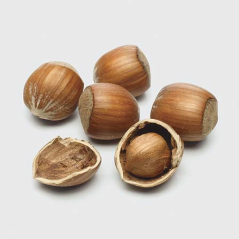 Hazelnut Lambert