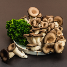 Load image into Gallery viewer, Mushroom Oyster Varieties
