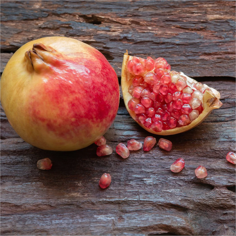Pomegranate Jodphur Red