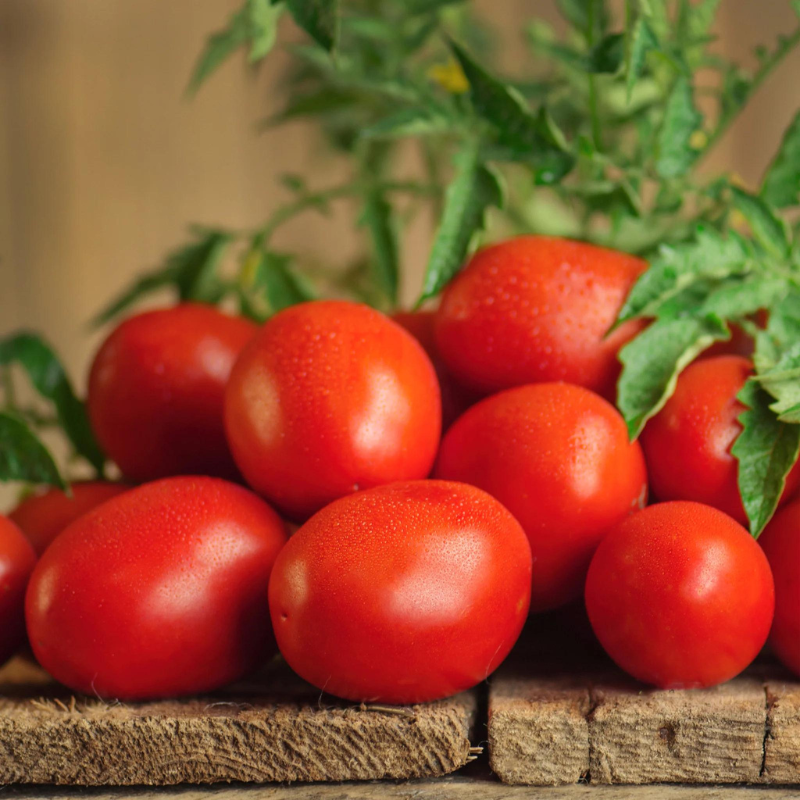 Tomato Super Roma – The Heritage Nursery