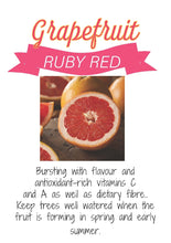 Load image into Gallery viewer, GRAPEFRUIT RUBY RED 20CM
