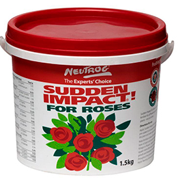 SUDDEN IMPACT ROSE 4KG