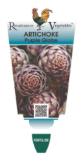 ARTICHOKE PURPLE GLOGE 9.5CM ROM