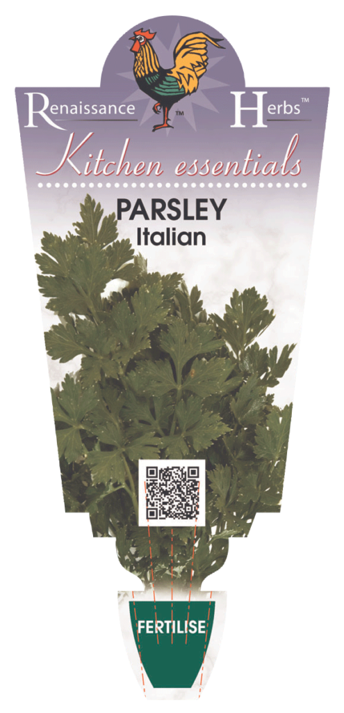 Parsley Italian 9.5cm